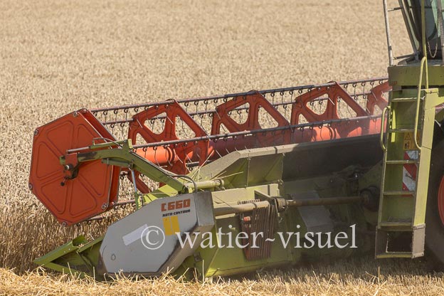 1194D654