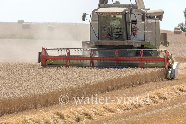 1194D656