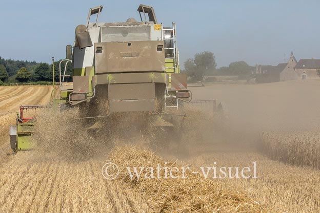 1194D660