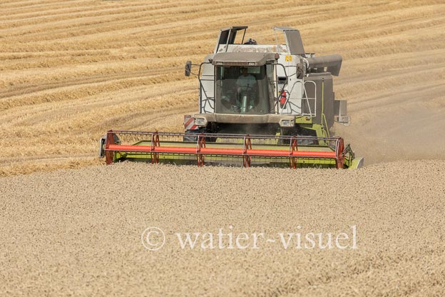 1194D661