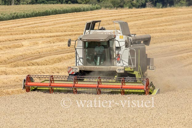 1194D662