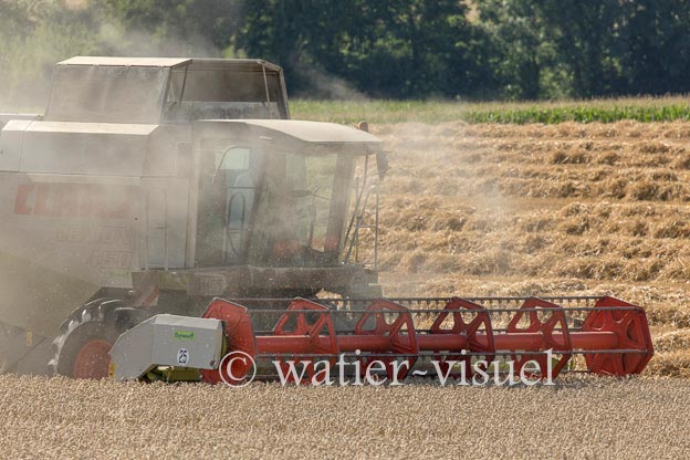 1194D670