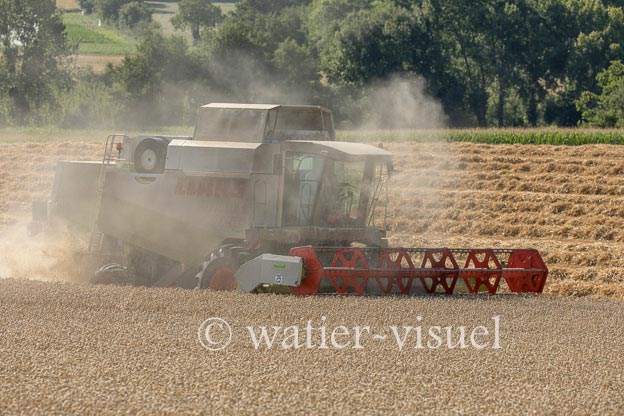 1194D671