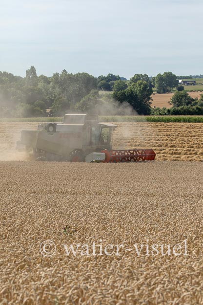 1194D672