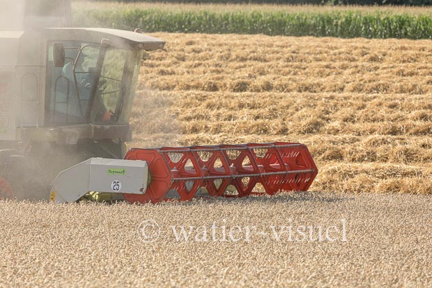 1194D675