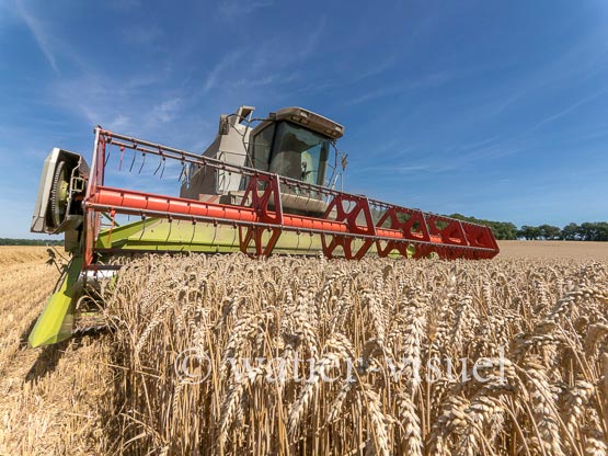 1194D692