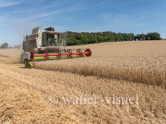 1194D694