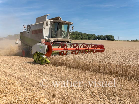 1194D695