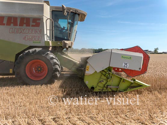 1194D697