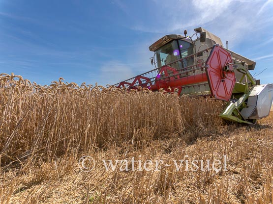 1194D698