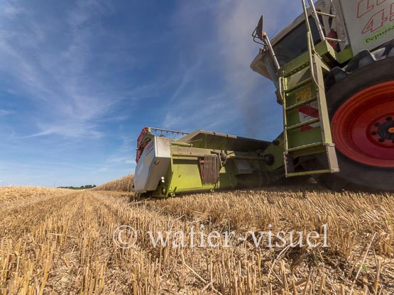 1194D702