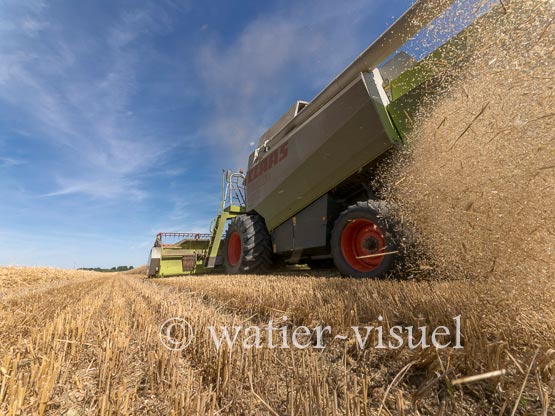 1194D703
