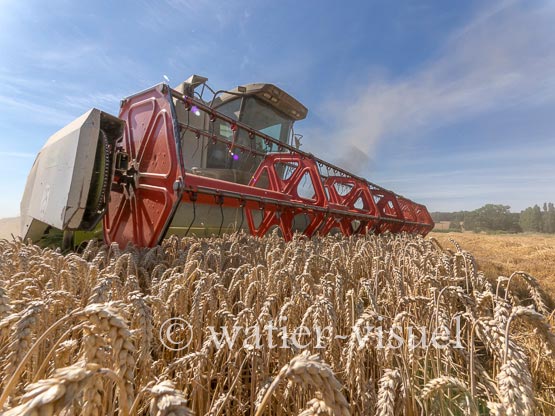 1194D708