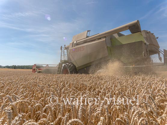 1194D712