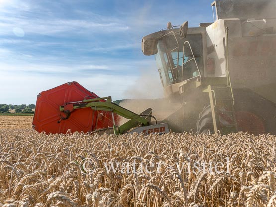 1194D720