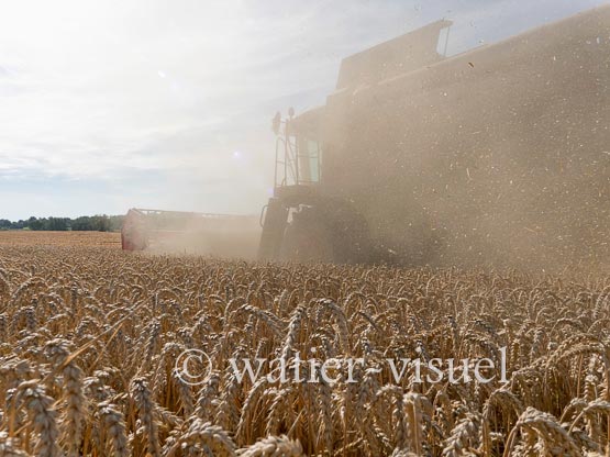 1194D722