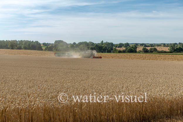 1194D764