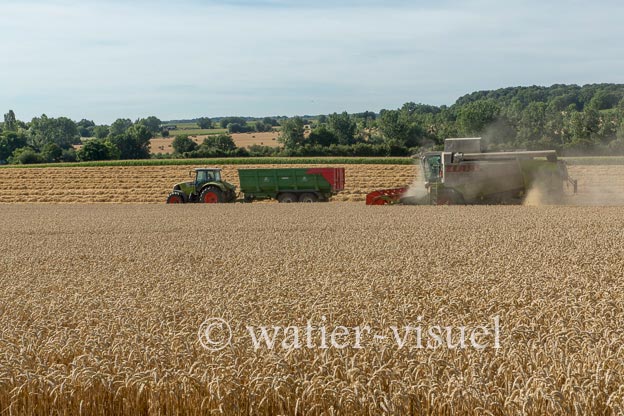 1194D768