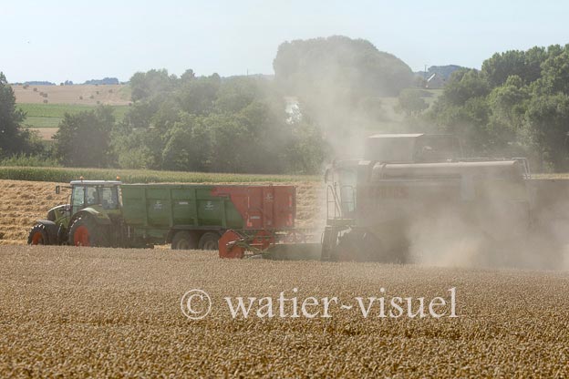 1194D803