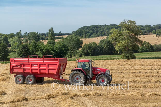 1194D902