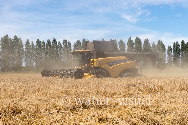 1255D002