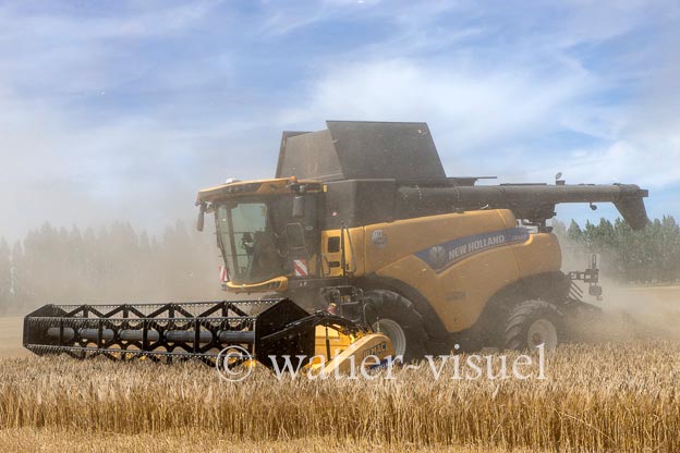 1255D064