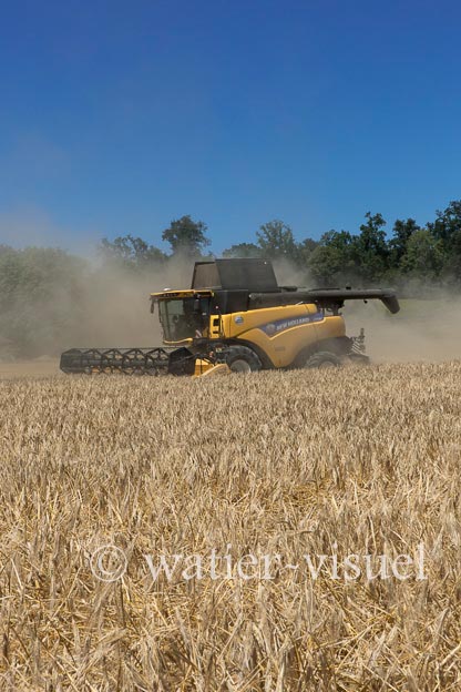 1255D109