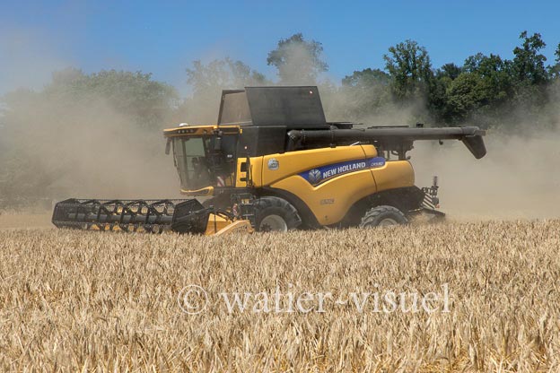 1255D110