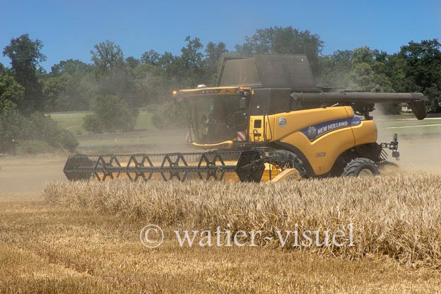 1255D115