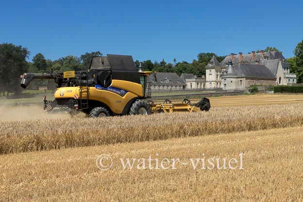 1255D121