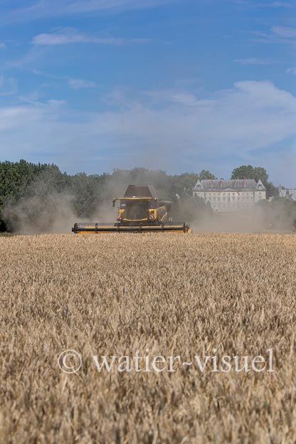 1255D156