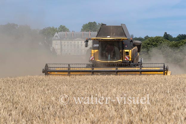 1255D168