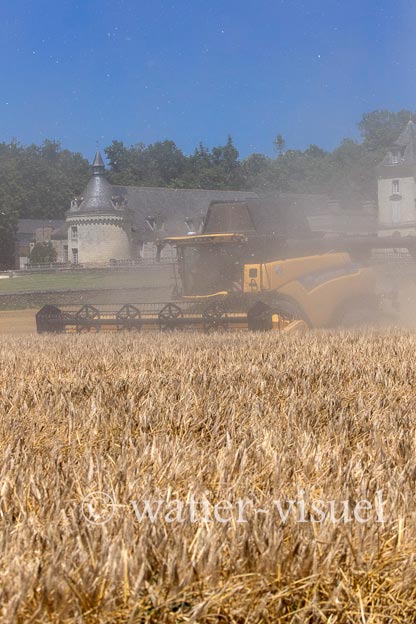 1255D178