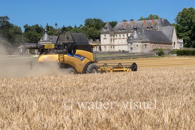 1255D182