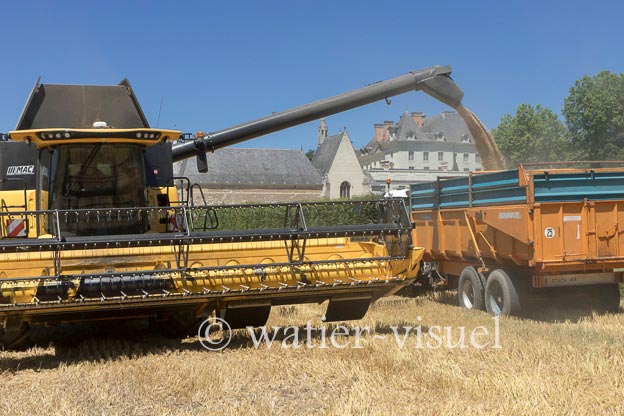 1255D211