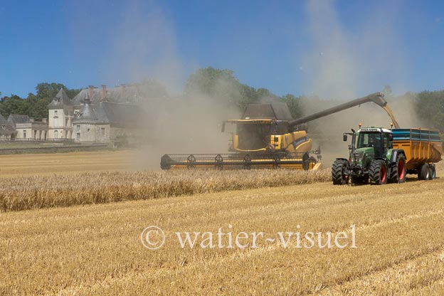 1255D220