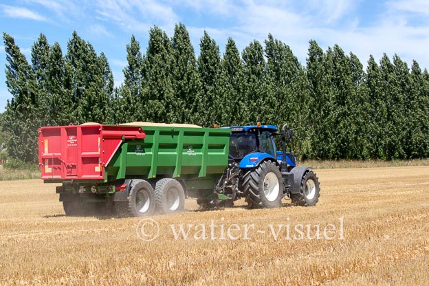 1255D252