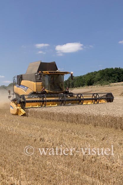 1257D098
