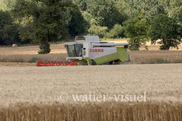 1258D162