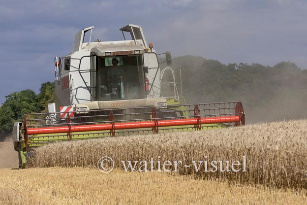 1258D167