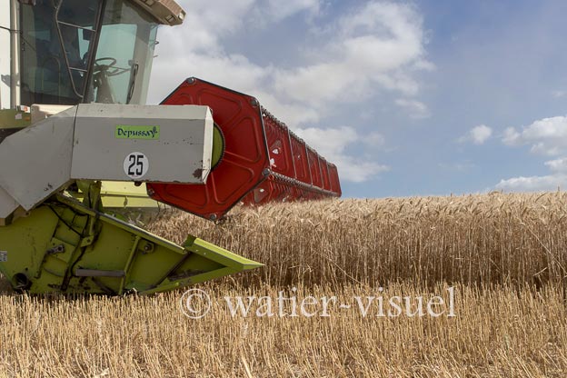 1258D241