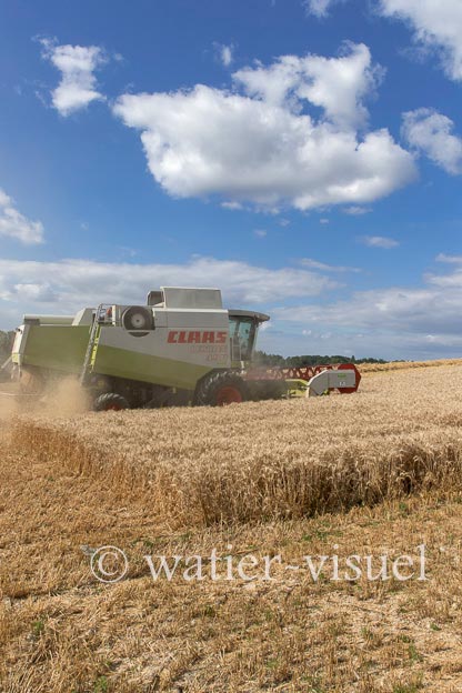 1258D271