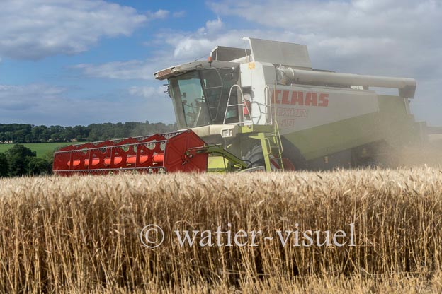 1258D302