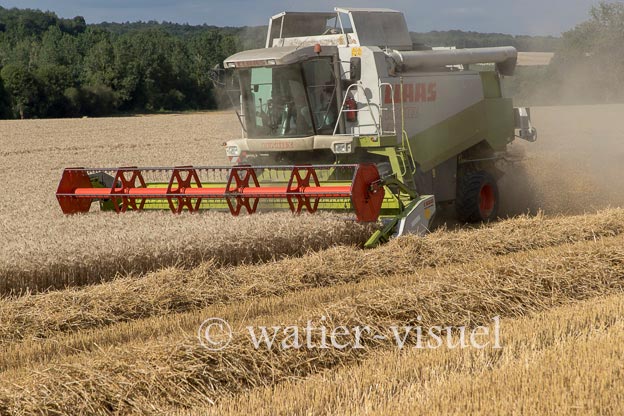 1258D309