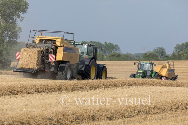 1194D269
