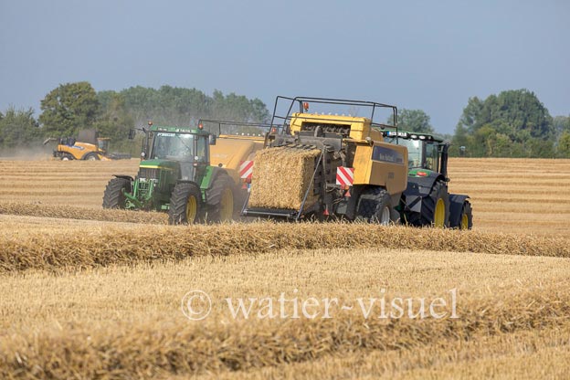1194D270