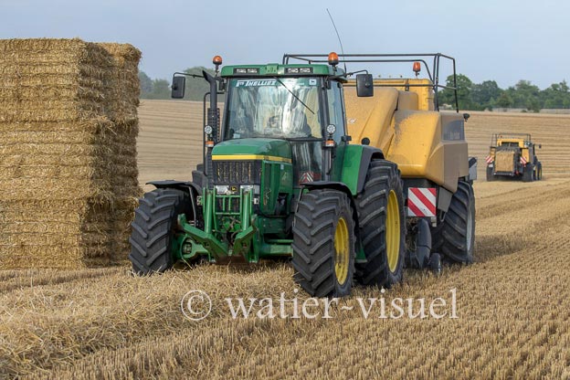 1194D297