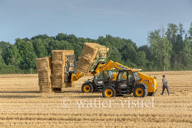 1194D350