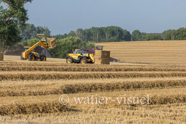 1194D370