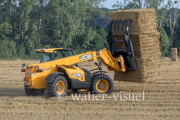 1194D380